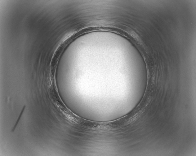 X0000053110974200507251652