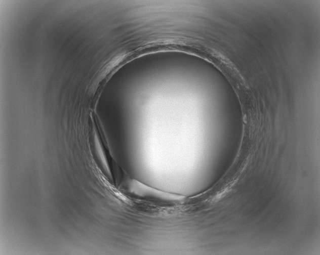 X0000053110977200507251652