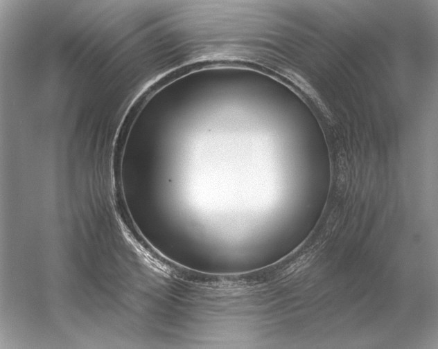 X0000053110980200507251652