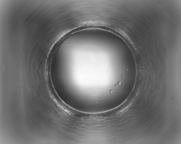 X0000053110981200507251652