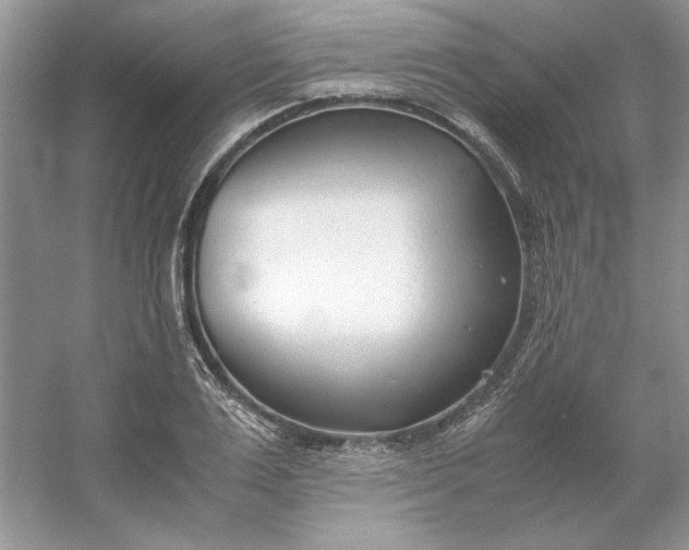 X0000053110983200507251652