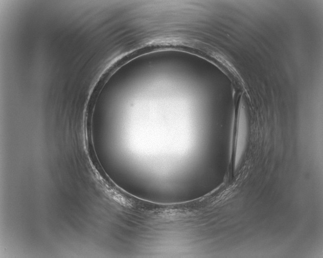 X0000053110984200507251652