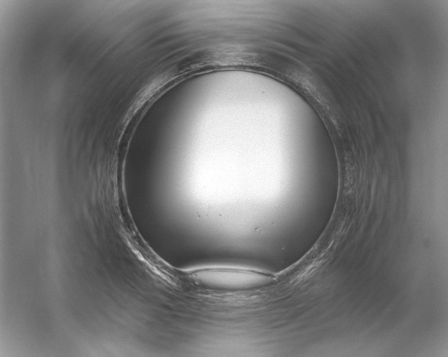 X0000053110986200507251652