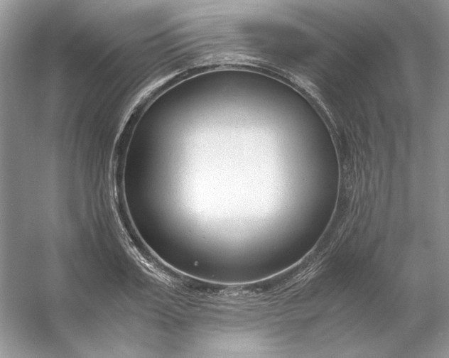 X0000053110987200507251652