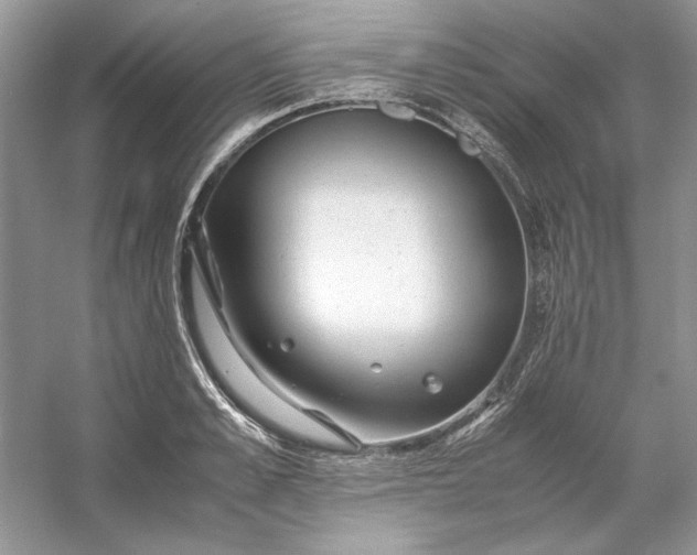 X0000053110989200507251652