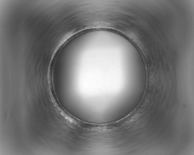 X0000053110990200507251652