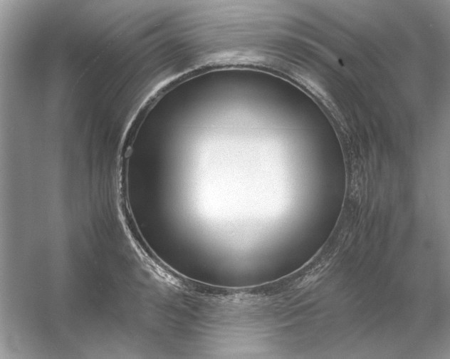 X0000053110992200507251652
