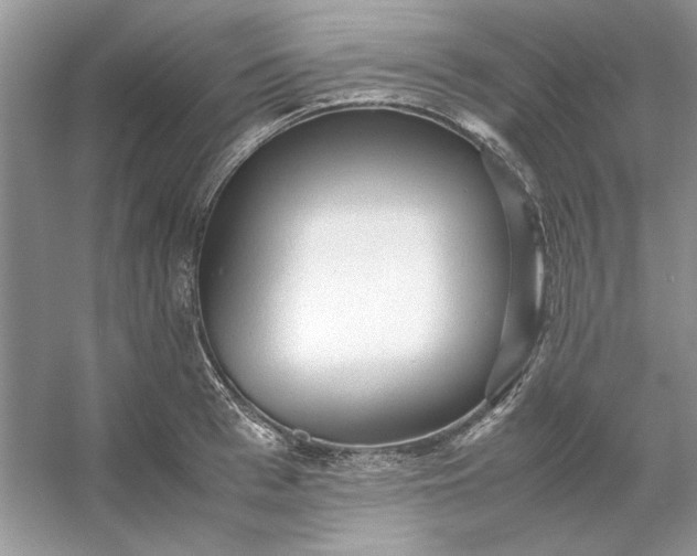 X0000053110993200507251652