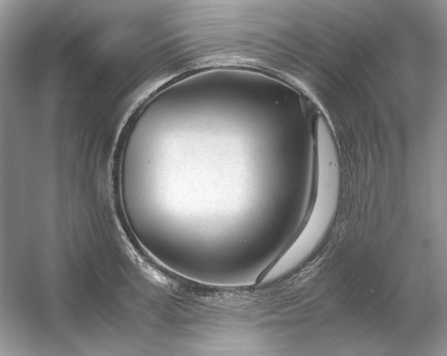 X0000053110995200507251652