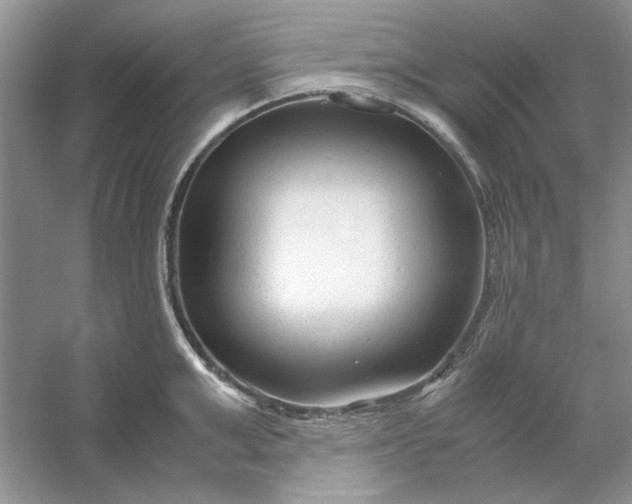 X0000053110999200507251652