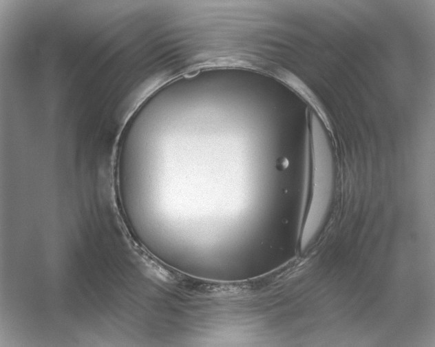 X0000053111002200507251652