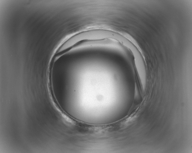 X0000053111005200507251652