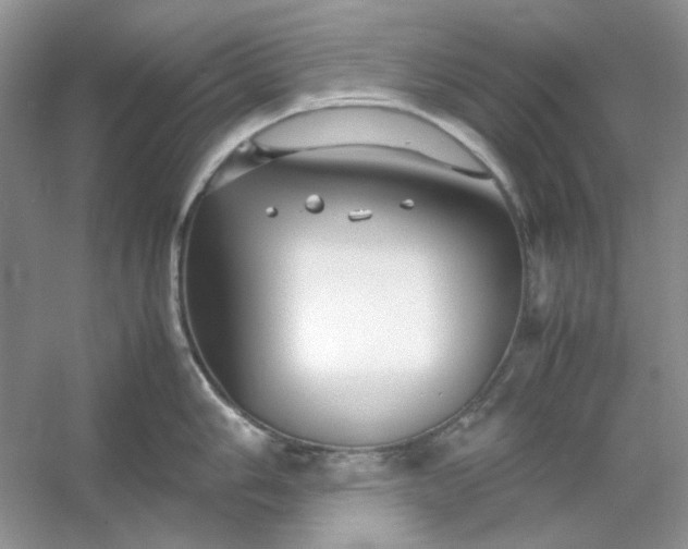 X0000053111006200507251652