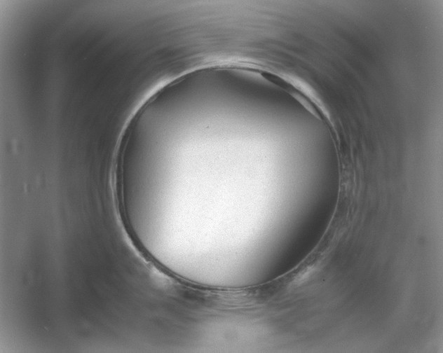X0000053111007200507251652