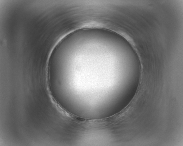 X0000053111008200507251652