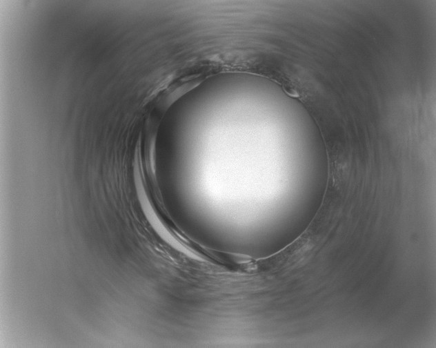 X0000053111010200507251651
