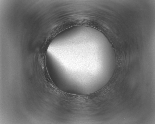 X0000053111013200507251651