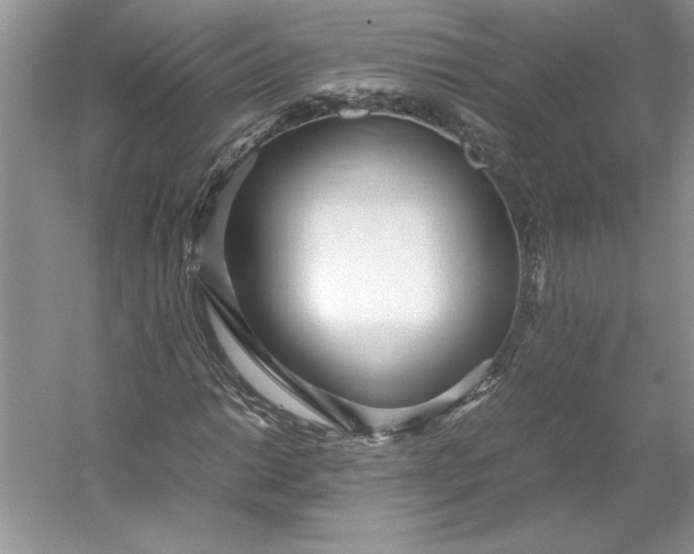 X0000053111014200507251651