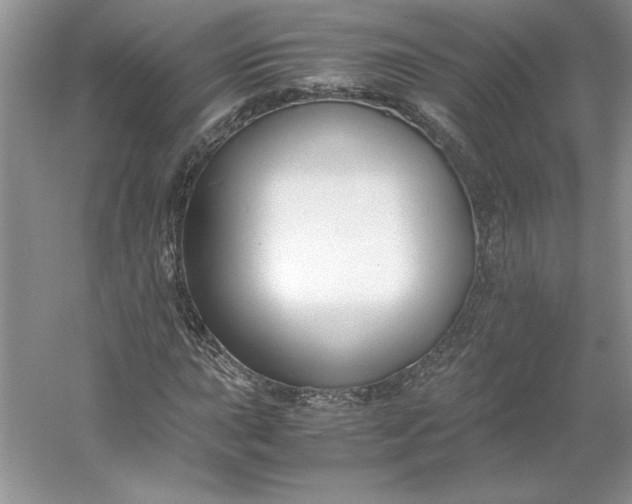 X0000053111015200507251651