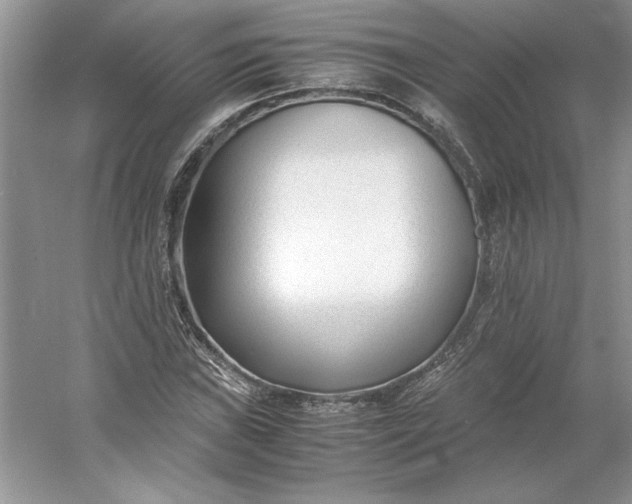 X0000053111019200507251651