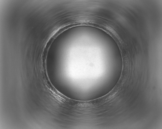X0000053111023200507251651