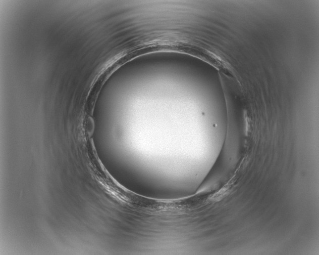 X0000053111026200507251651