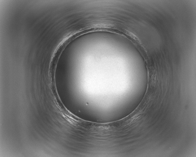 X0000053111027200507251651
