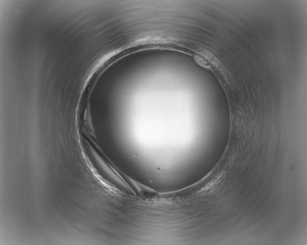 X0000053111030200507251651