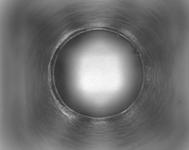 X0000053111031200507251651