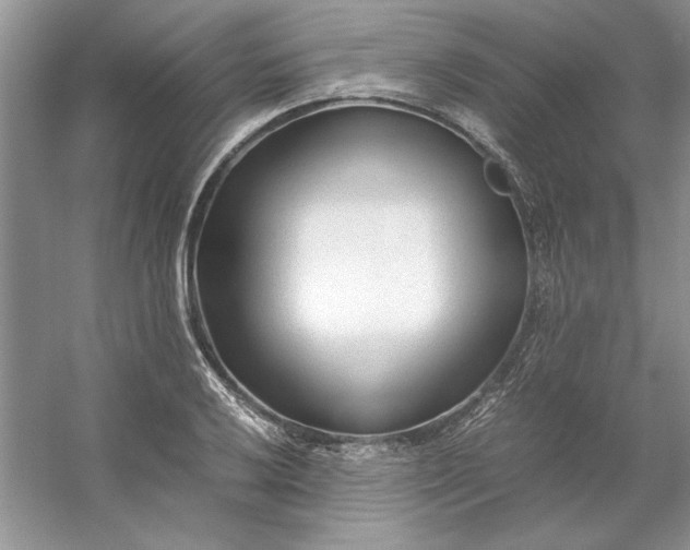 X0000053111032200507251651
