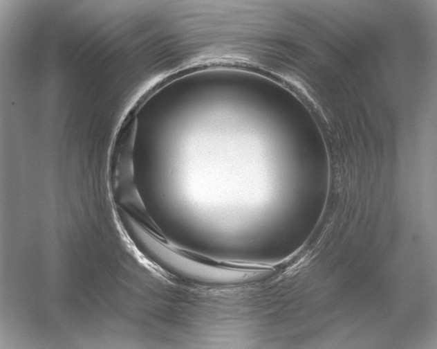X0000053111038200507251652