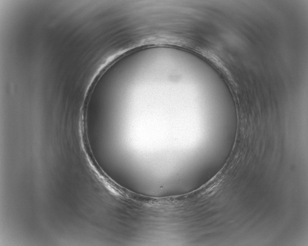 X0000053111040200507251652
