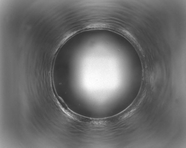 X0000053111041200507251652
