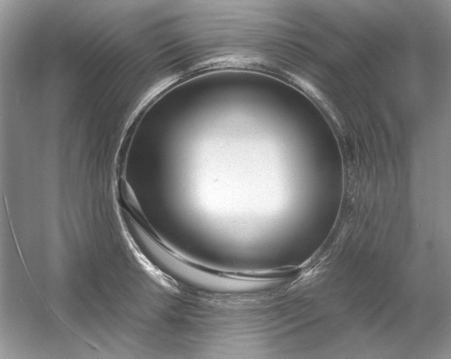 X0000053111042200507251652