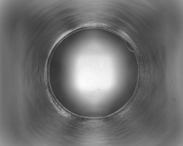 X0000053111044200507251652