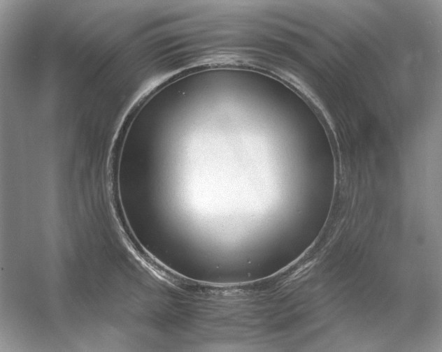 X0000053111045200507251652