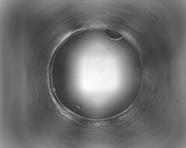 X0000053111047200507251652