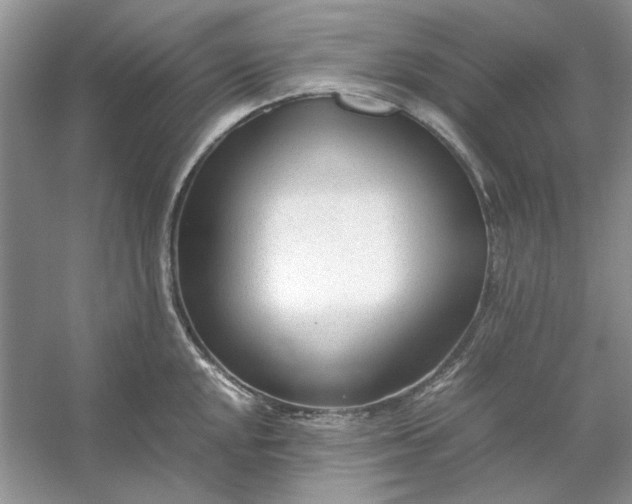 X0000053111048200507251652