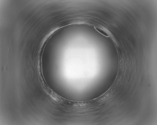 X0000053111051200507251652