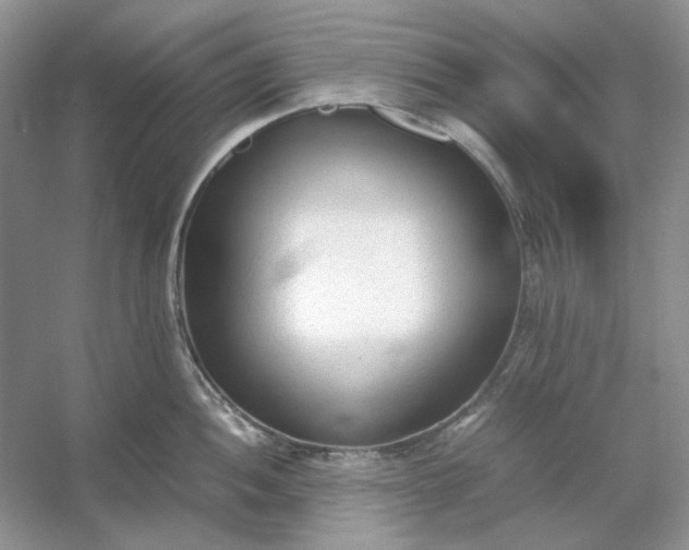 X0000053111052200507251652