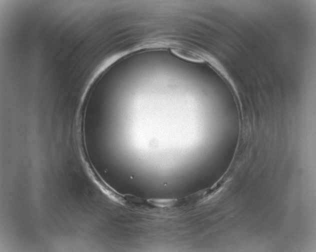X0000053111053200507251652
