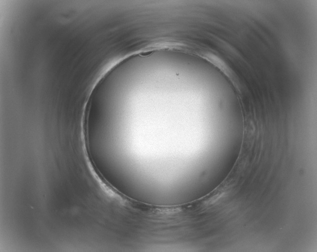 X0000053111055200507251652