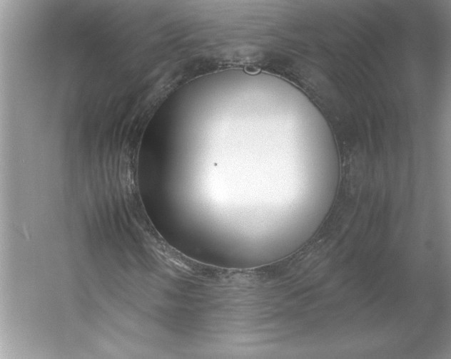 X0000053111058200507251651