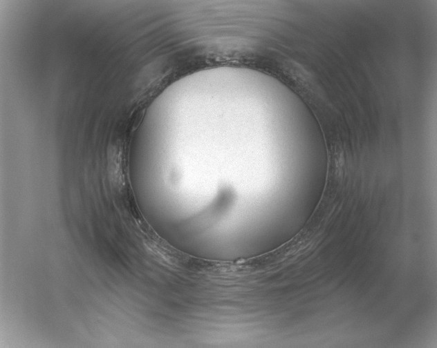 X0000053111060200507251651