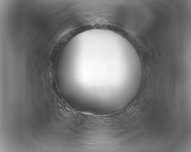 X0000053111063200507251651