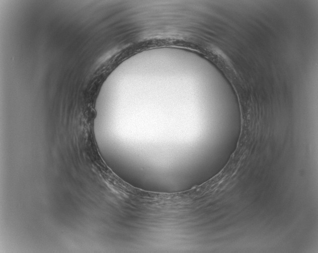 X0000053111064200507251651