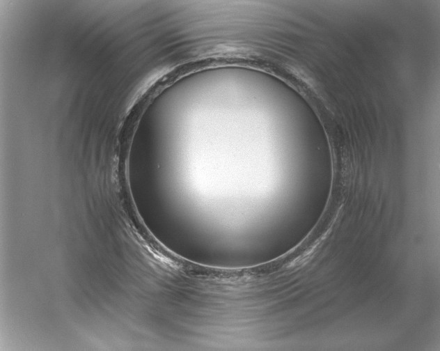 X0000053111066200507251651