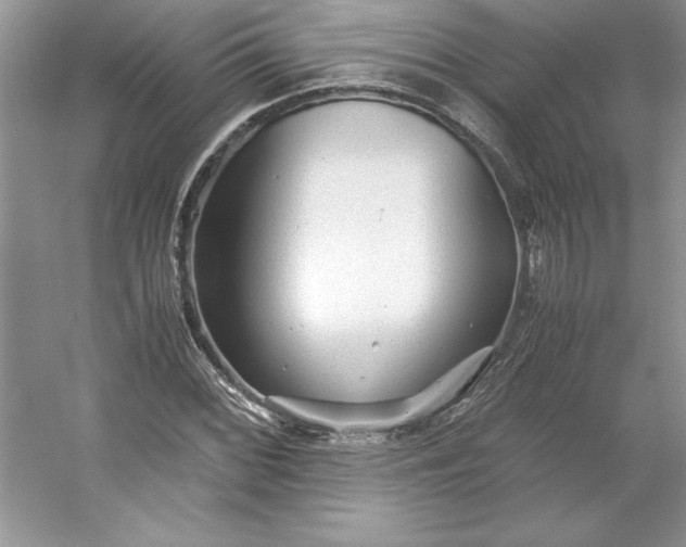 X0000053111068200507251651
