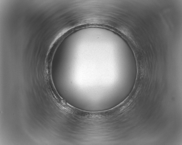 X0000053111070200507251651