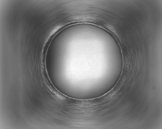 X0000053111071200507251651